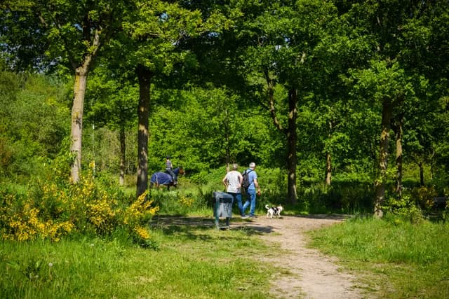 Noorderbos natuur Jostijn Ligtvoet 2