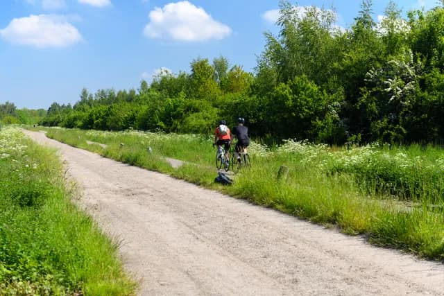 Noorderbos natuur Jostijn Ligtvoet 3