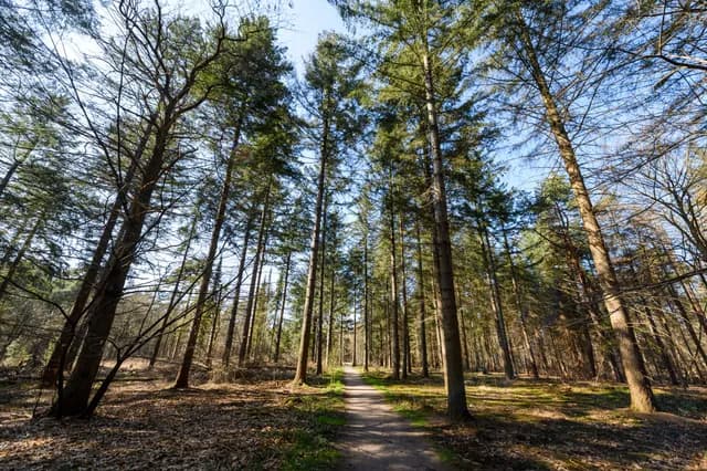 Oude Warande natuur Jostijn Ligtvoet