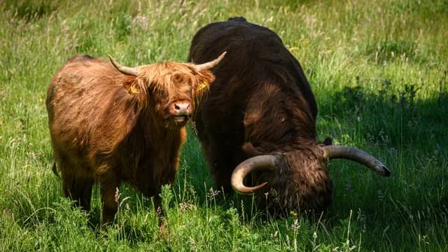 Stadsbos013 natuur Jostijn Ligtvoet 2