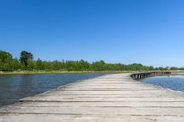 De Moer natuur Jostijn Ligtvoet 4