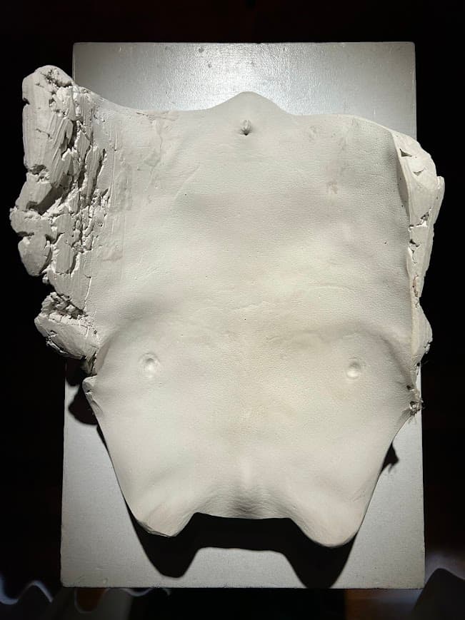 Expositie Exposed Nikki Reniers